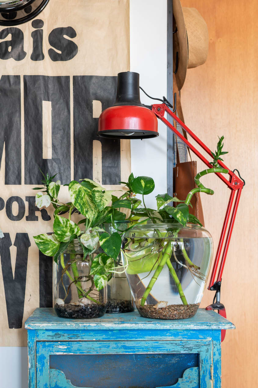 Renter-Friendly Ideas in a Small Shared Apartment | Apartment Therapy